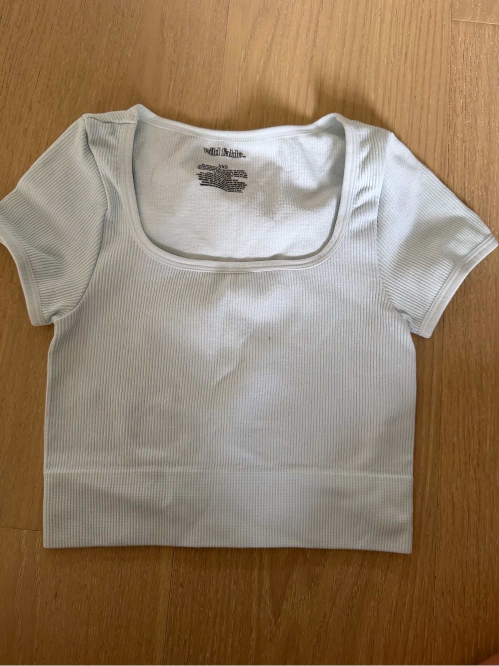wild fable Soft Light Blue Ribbed Scoop Neck Crop Tee